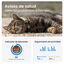 Tractive Cat Mini Localizador GPS Marrón para gatos, , large indicador imagen numero 7