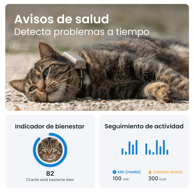 Tractive Cat Mini Localizador GPS Marrón para gatos thumbnail