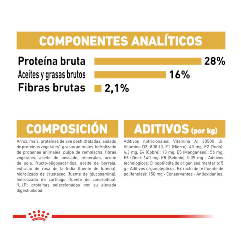 Royal Canin Adult Chihuahua pienso para perros thumbnail