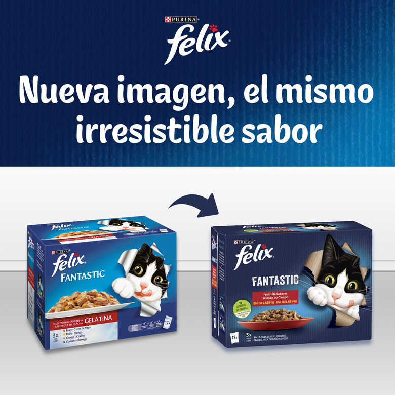 Felix Fantastic Festín del Mar sobres en gelatina para gatos thumbnail