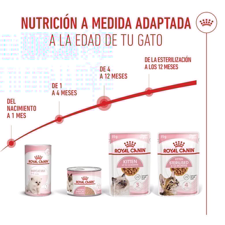 85 g Royal Canin Kitten sobre en salsa para gatos,  Imagen numero 6 85 g Royal Canin Kitten sobre en salsa para gatos, , large Imagen numero 6