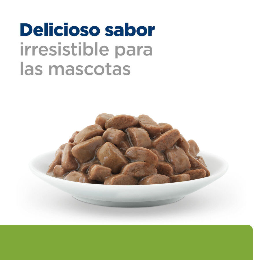 12 sobres x 85 g Hill's Prescription Diet Metabolic Feline pouches para gato , , large Imagen numero 12