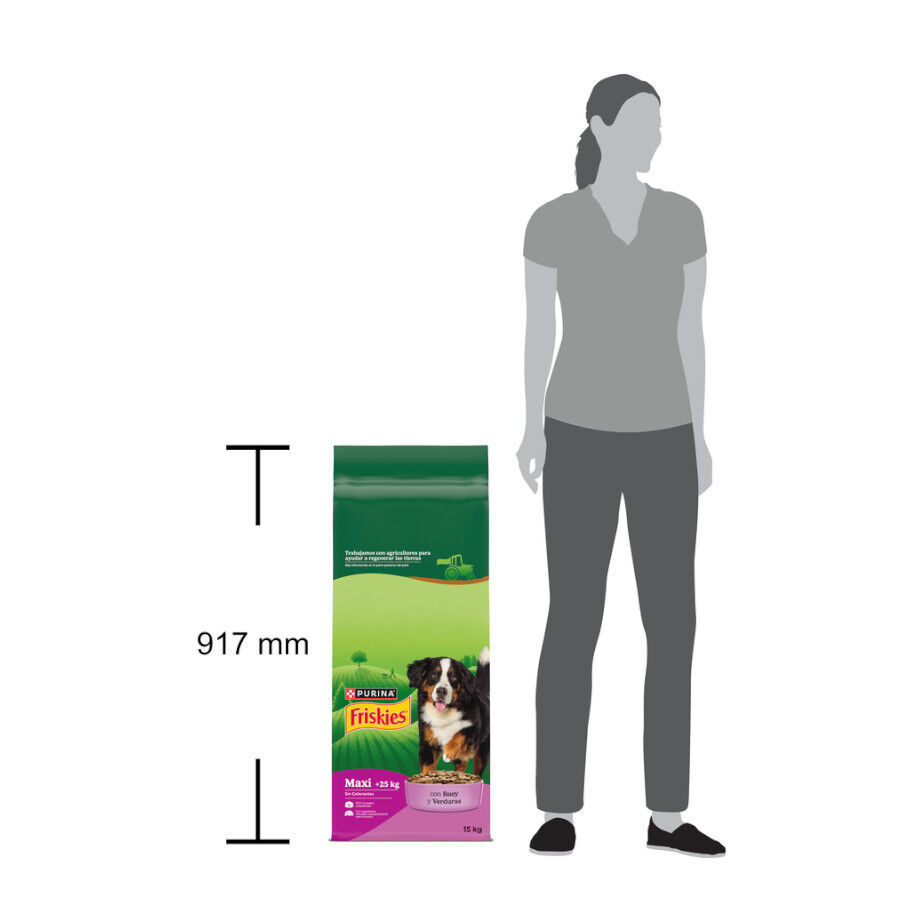 15 kg Friskies Maxi pienso para perros , , large Imagen numero 5