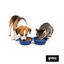 Gotoo Comedero Port&aacute;til Doble de Silicona Azul para perros y gatos, , large indicador imagen numero 7