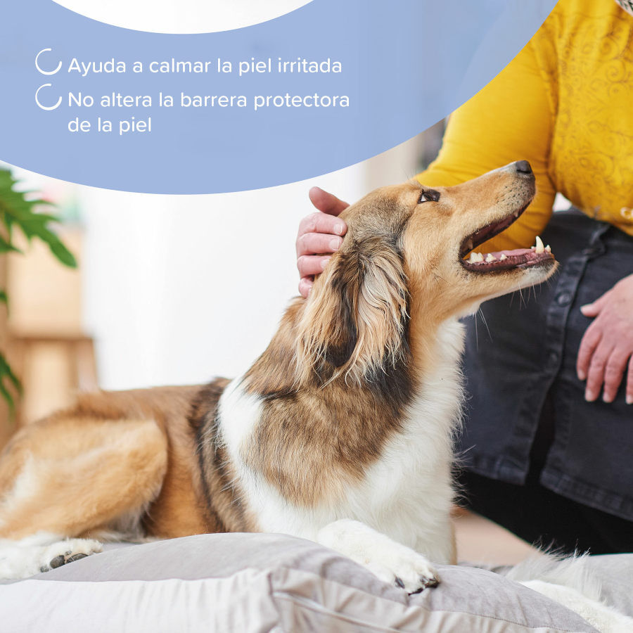 Beaphar Champú Calmante para perros y gatos thumbnail