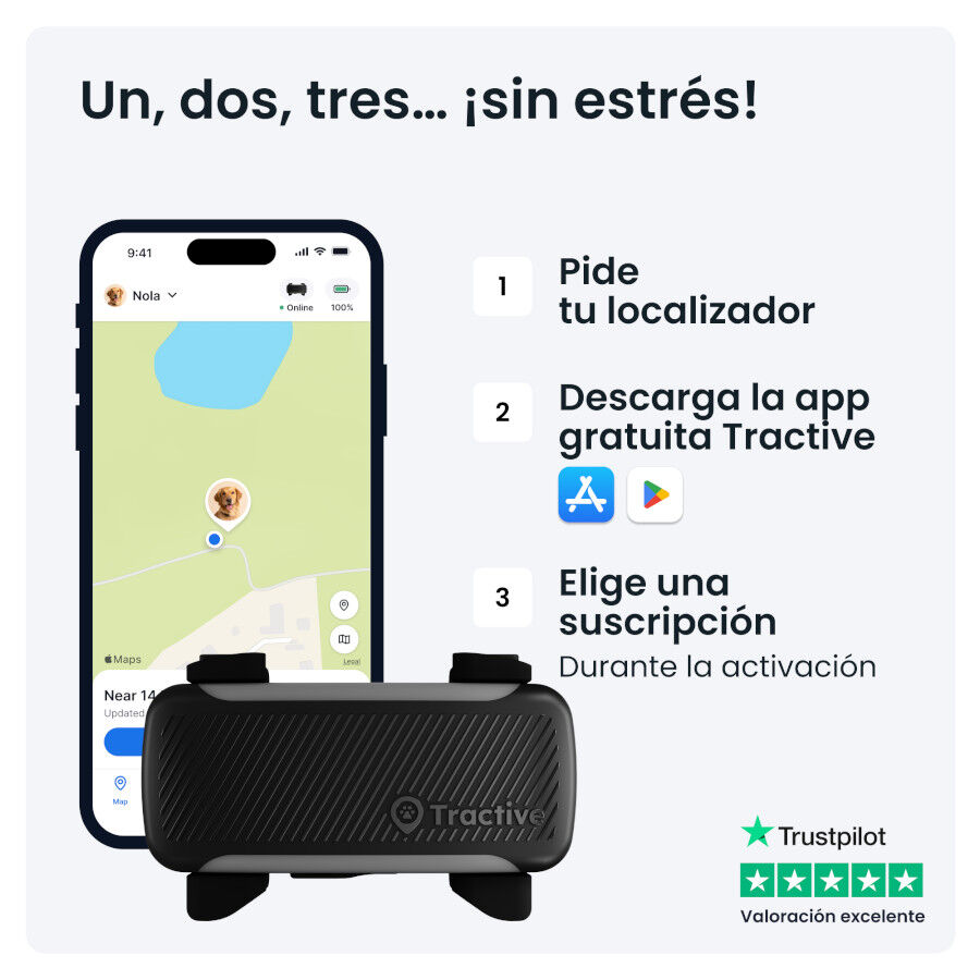 Tractive Dog 6 XL Negro GPS para perros, , large Imagen numero 9