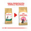 10 kg Royal Canin Kitten Maine Coon pienso para gatos, , large indicador imagen numero 3