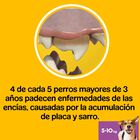 Pedigree Dentastix Fresh Snacks Dentales para Perros Pequeños, , large image number null