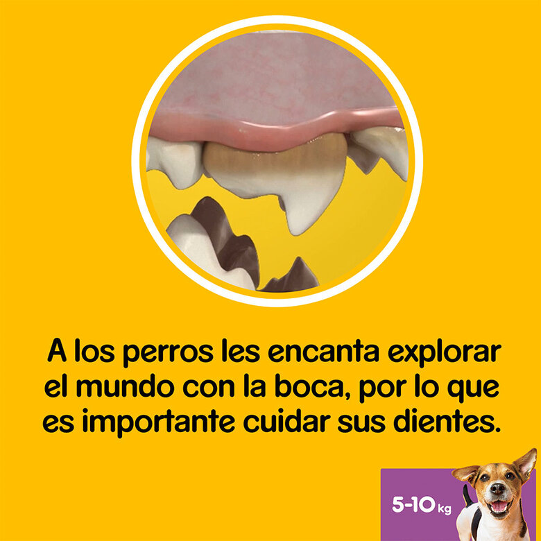 Pedigree Dentastix Snacks Dentales para Perros Pequeños, , large image number null