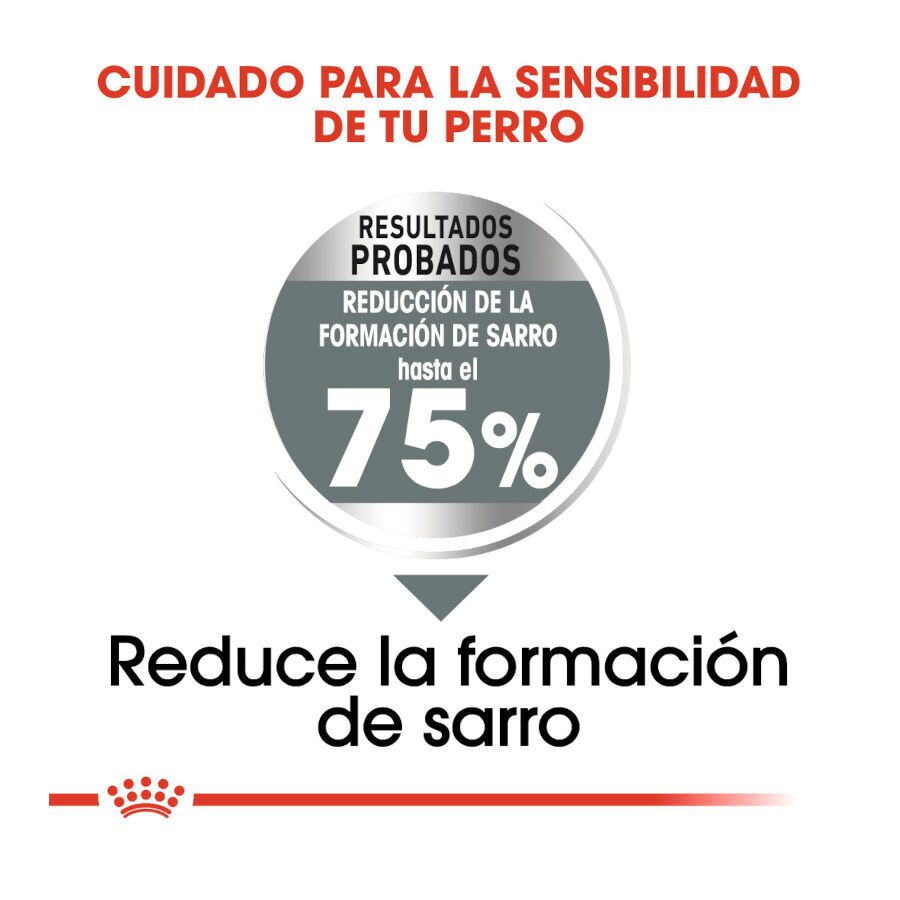 9 kg Royal Canin Dental Care Maxi pienso para perros, , large Imagen numero 5