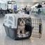 Outech IATA Apolo Transport&iacute;n para perros y gatos, , large indicador imagen numero 1