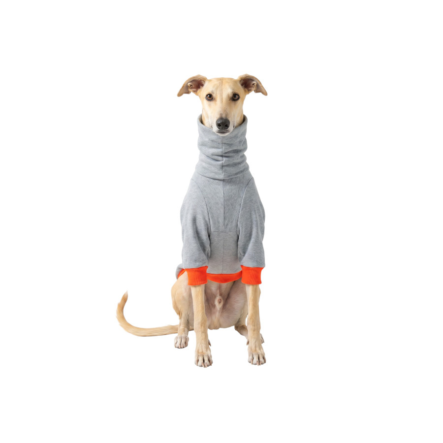 Gotoo Sudadera Gris para galgos, , large Imagen numero 7