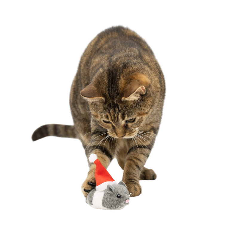 Wonder Christmas Ratón Santa juguete para gatos,  Imagen numero 1 Wonder Christmas Ratón Santa juguete para gatos, , large Imagen numero 1