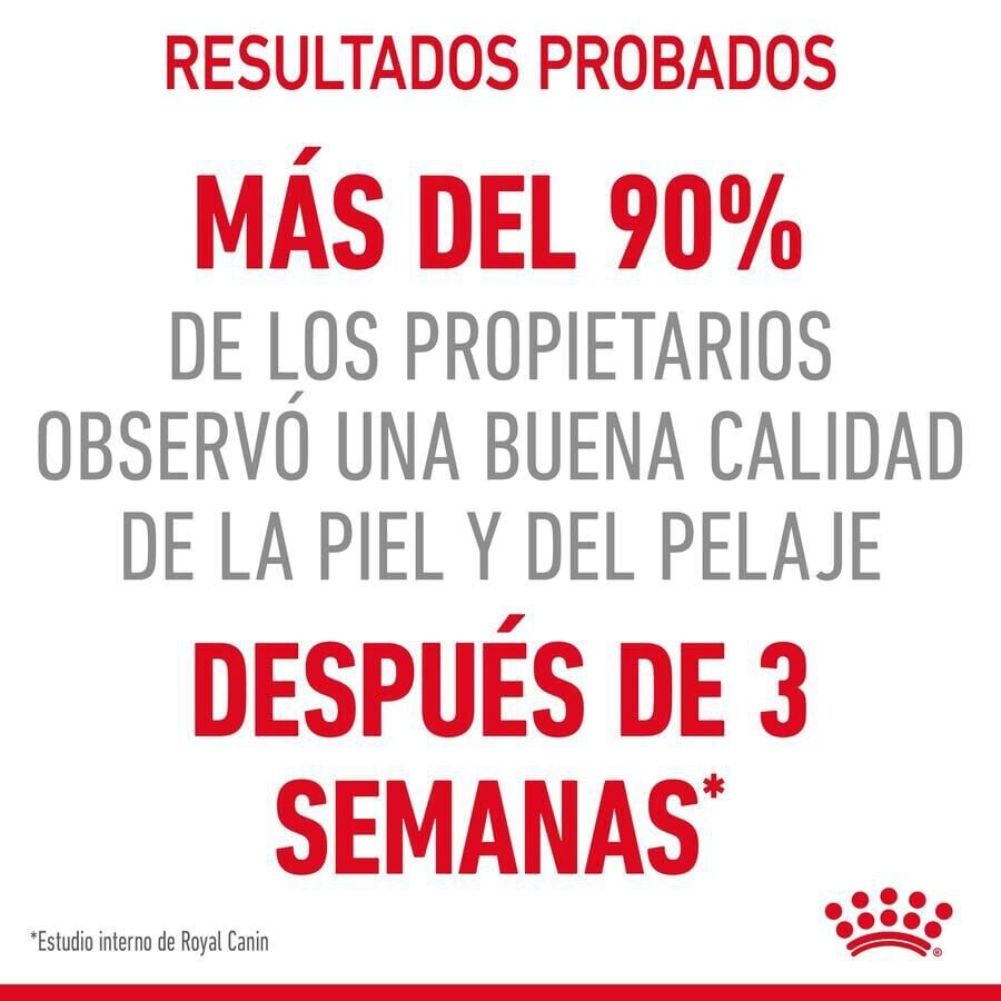 Royal Canin Intense Beauty gelatina sobre para gatos thumbnail