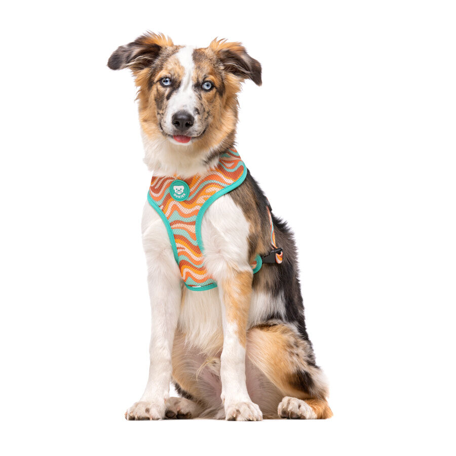 Dukier Peace Arnés Reversible para perros thumbnail