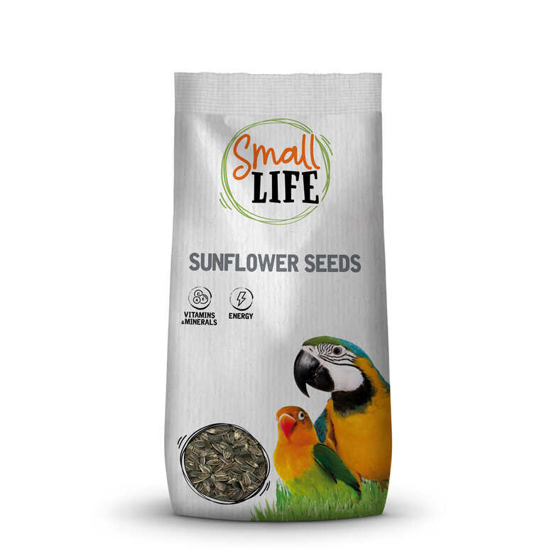 Small Life Pipas para Aves 430 gr Imagen numero 1 Small Life Pipas para Aves 430 grSmall Life Pipas para Aves 430 gr Imagen numero 1