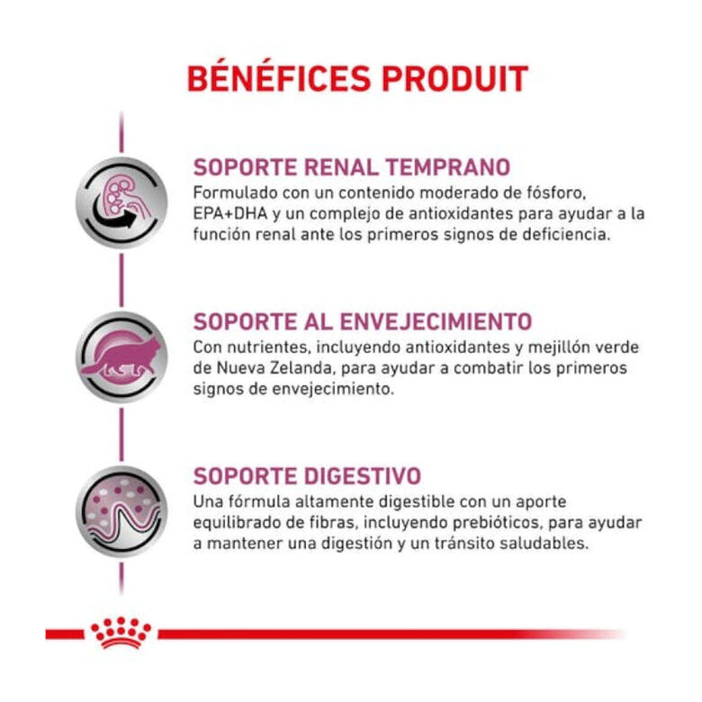Royal Canin Veterinary Early Renal pienso para gatos thumbnail