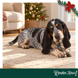 Wonder Christmas Palitos de Pescado Snacks para perros