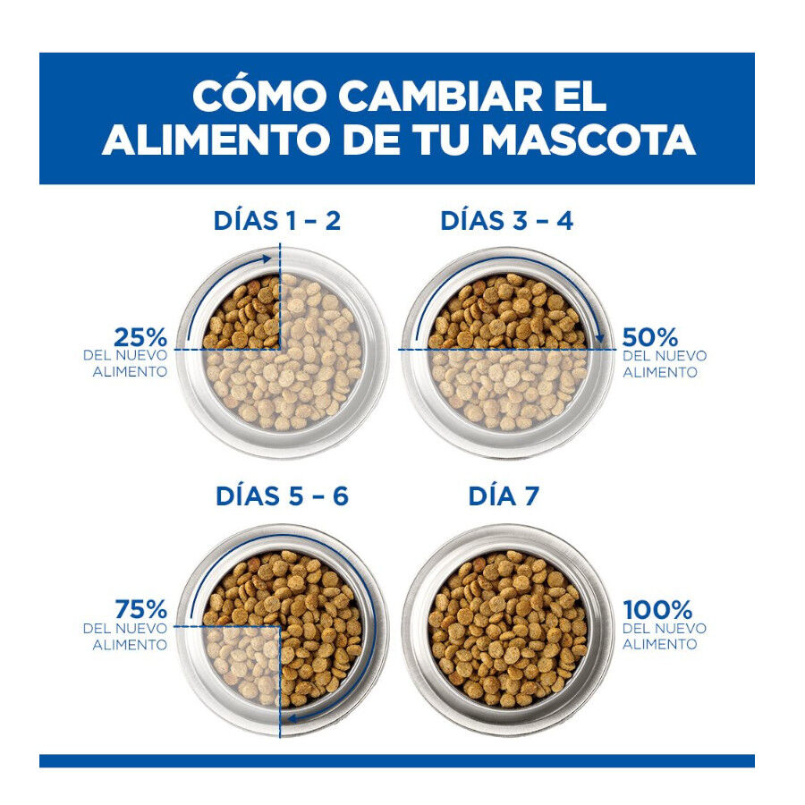 1.5 kg Hill's Science Plan Adult Pienso Salm&oacute;n para gatos, , large Imagen numero 12