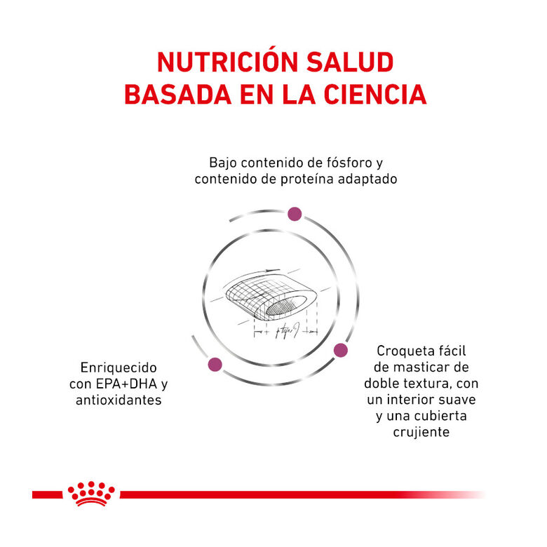 Royal Canin Veterinary Renal Select pienso para gatos thumbnail