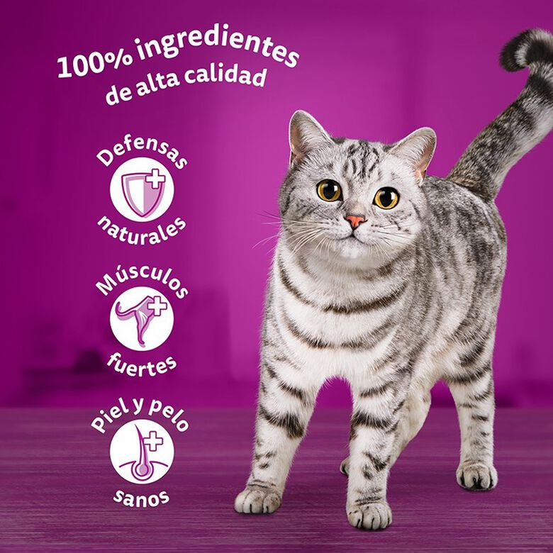 Whiskas Selección Pescados Gelatina en Bolsita para gatos thumbnail