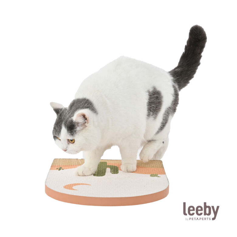 Leeby Darcy tabla rascador de cartón para gatos thumbnail