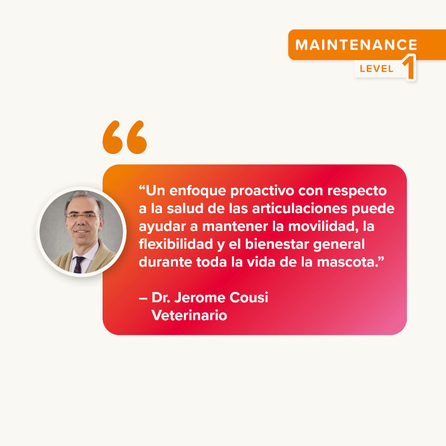 Beaphar Flexifit Bits Condroprotector para gatos thumbnail