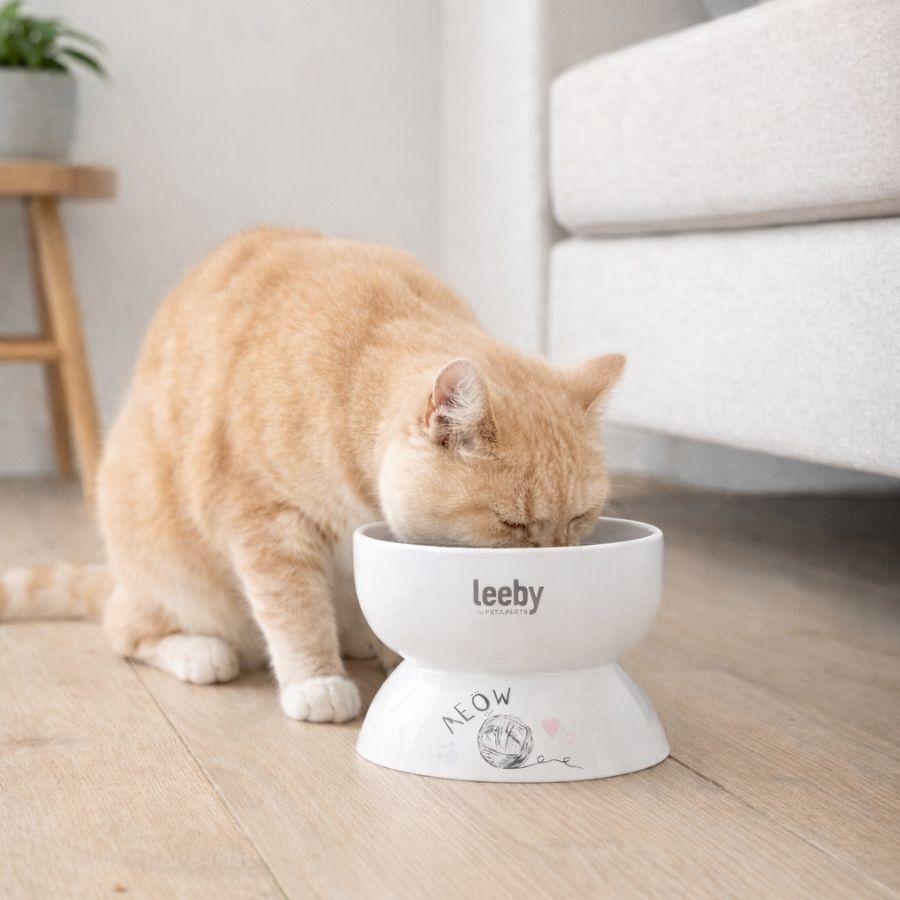 Leeby Comedero Elevado de Cer&aacute;mica Blanco para gatos, , large Imagen numero 1