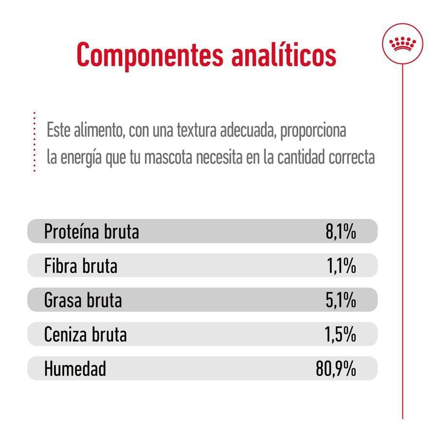 Royal Canin Maxi Ageing sobre en salsa para perros thumbnail