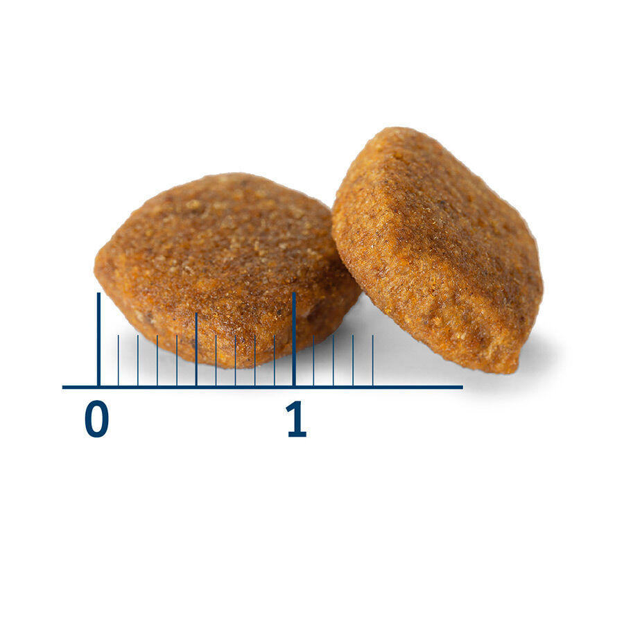 Nath Adult Medium Maxi Sensitive Pescado Blanco y Salmón pienso para perros thumbnail