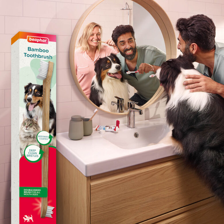 Beaphar Cepillo Dental de Bambú para Perros y Gatos thumbnail