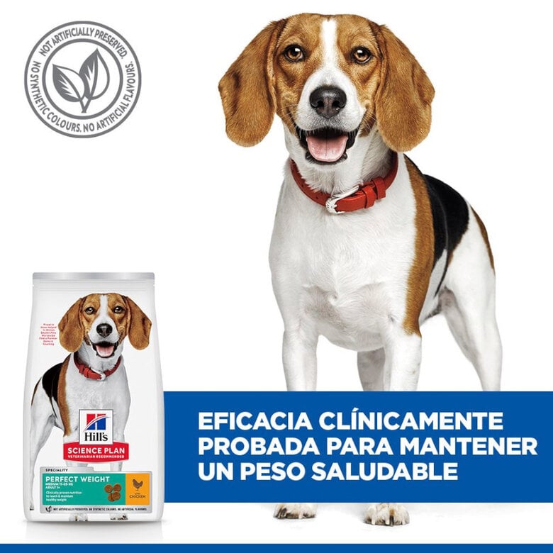 12 kg Hill's Science Plan Perfect Weight Adult Medium Pollo pienso para perros,  Imagen numero 5 12 kg Hill's Science Plan Perfect Weight Adult Medium Pollo pienso para perros, , large Imagen numero 5