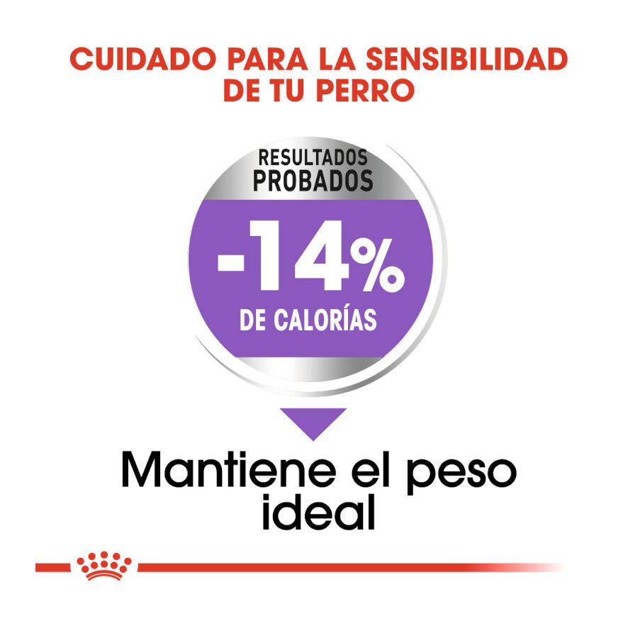 Royal Canin Sterilised Mini pienso para perros thumbnail