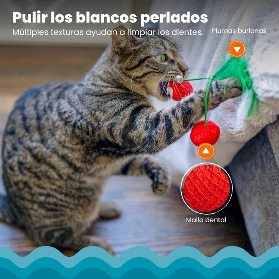 Catstages Dental Cherries Peluche Suave de Cerezas para gatos thumbnail