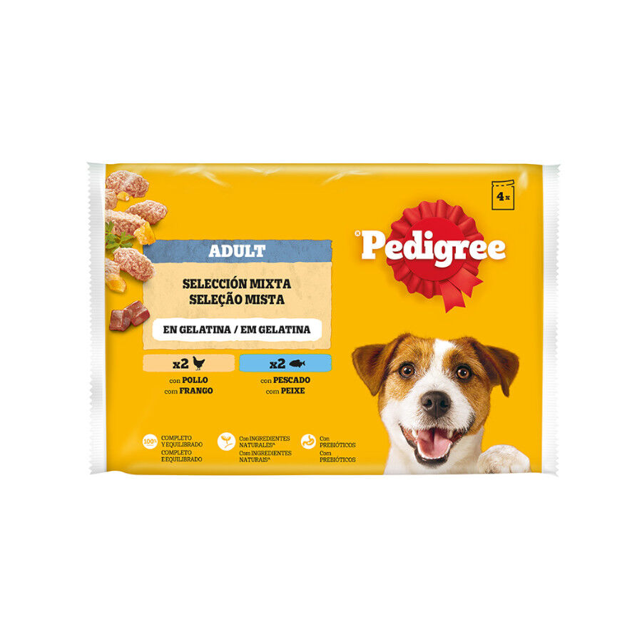 4 sobres x 100 g Pedigree Pollo y Pescado Gelatina en Bolsita para Perros, , large Imagen numero 1