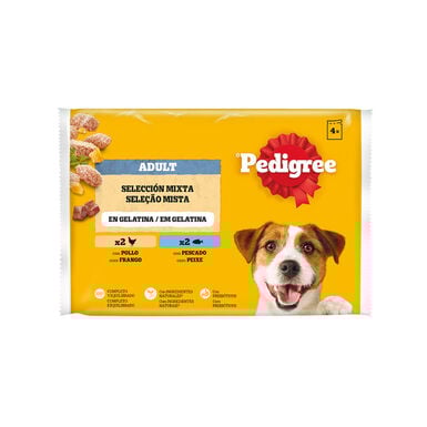 Pedigree Pollo y Pescado Gelatina en Bolsita para Perros - Multipack