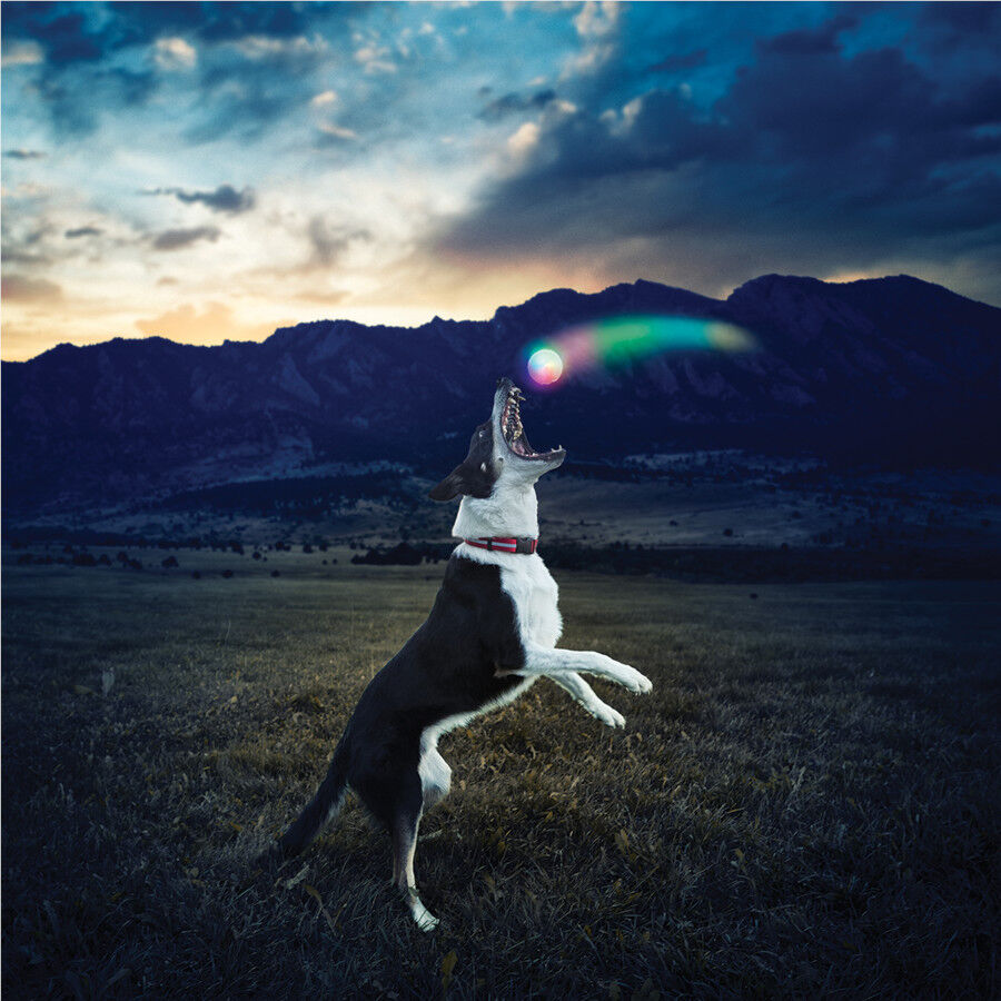 Nite Ize Glowstreak Disc-O LED Pelota para perros thumbnail