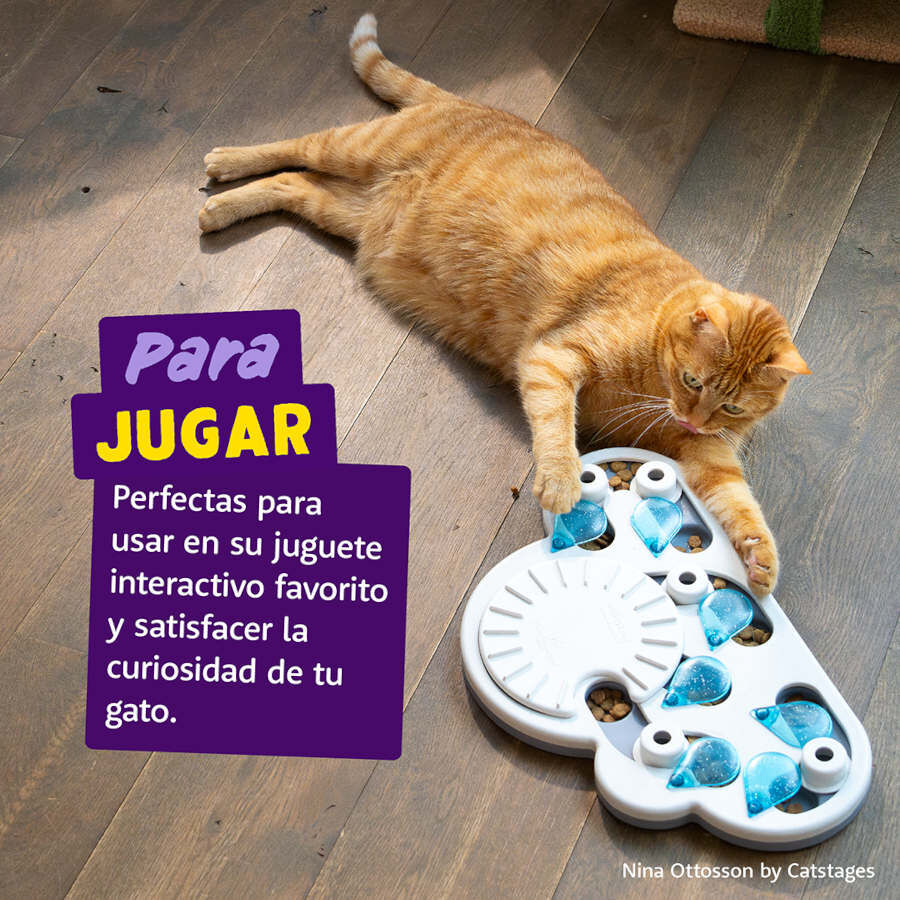 Edgard &amp; Cooper Galletas Crunchies Salmon para gatos thumbnail