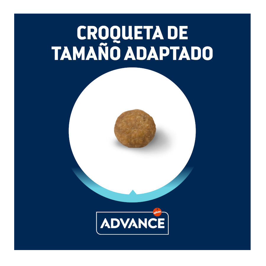 Advance Active Defense Mini Puppy pienso para cachorros thumbnail