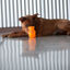 Kong Squeezz Jels juguete para perros, , large indicador imagen numero 2