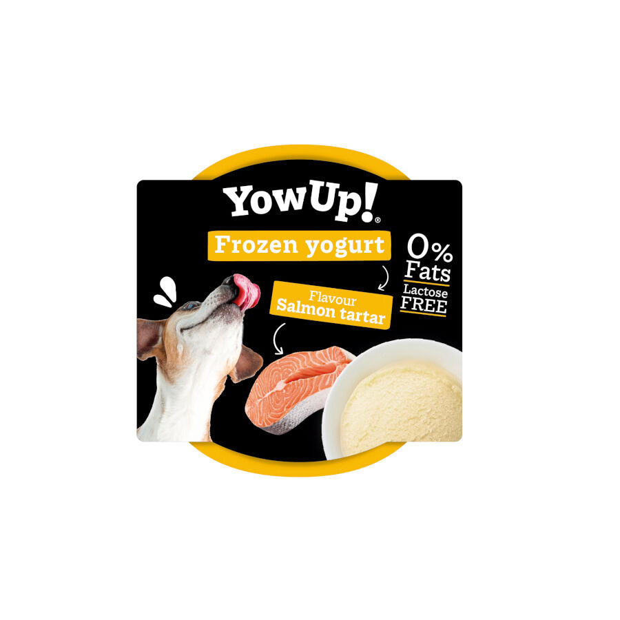 6 tarrinas x 110 g YowUp! Yogur Helado Natural Tartar De Salm&oacute;n Para Perros y gatos &iexcl;Pack Ahorro!, , large Imagen numero 3