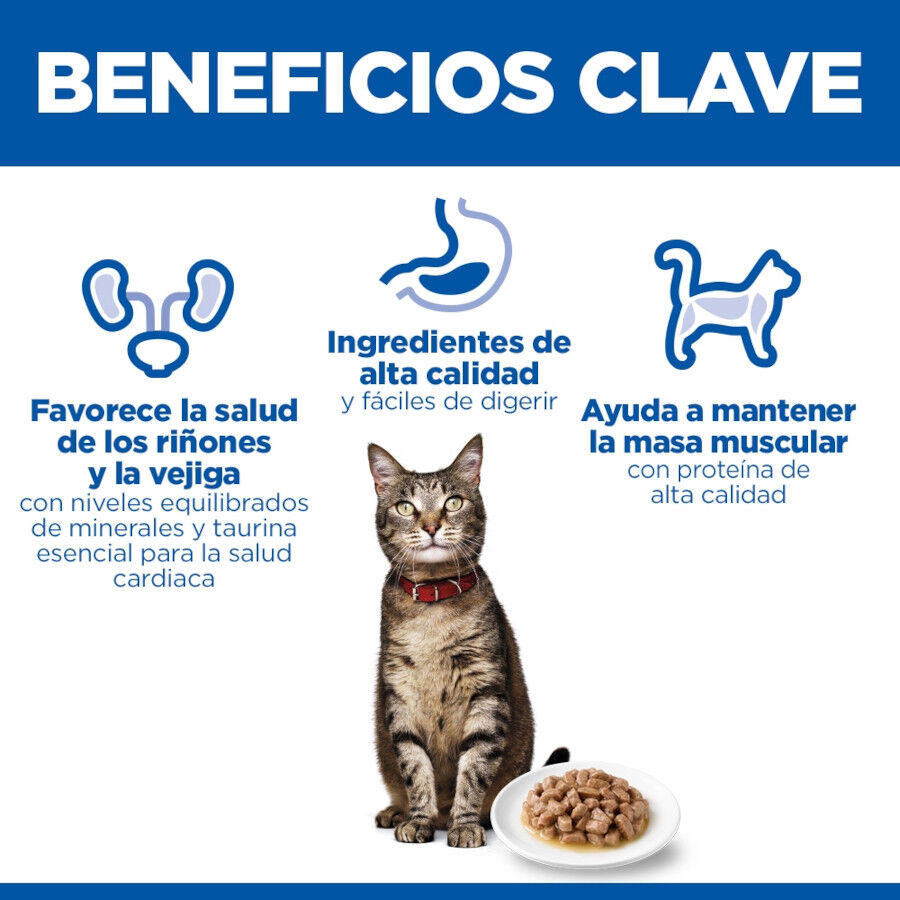 85 g Hill's Science Plan Adult Pavo sobre para gatos, , large Imagen numero 5