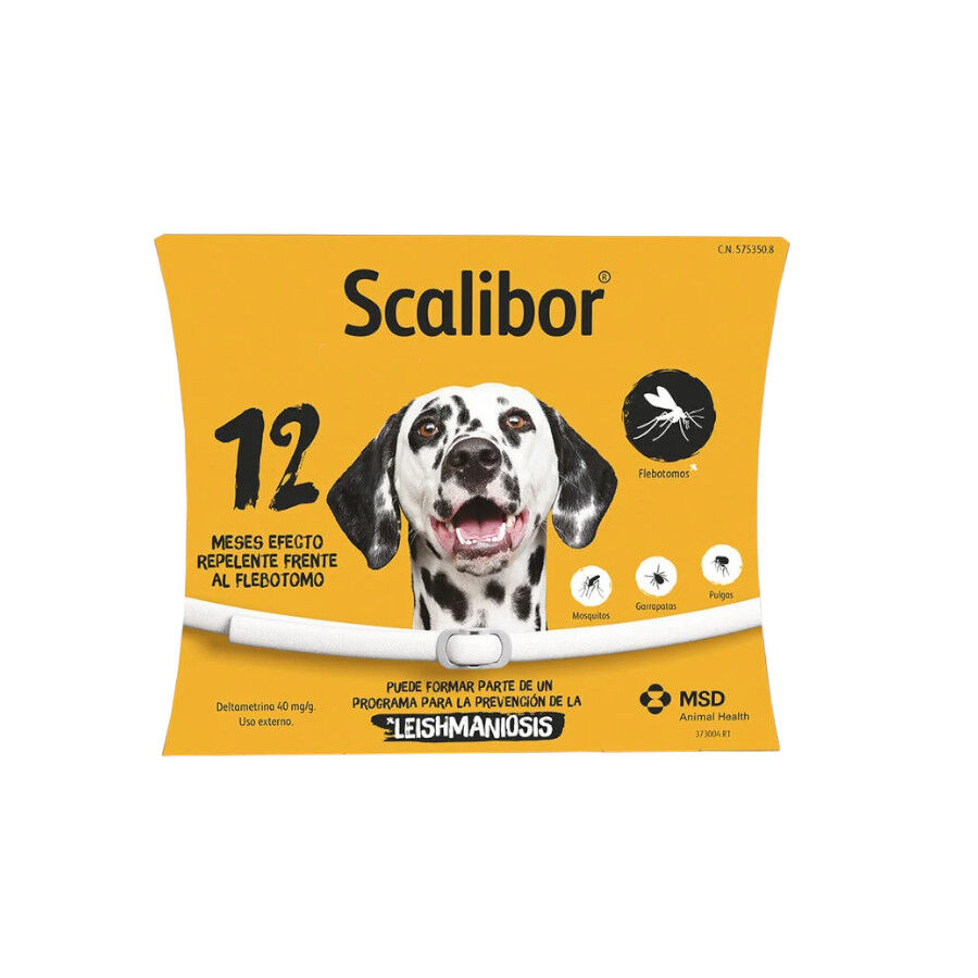 1 collar x 48 cm + 1 collar x 65 cm Scalibor Collar Antiparasitario para perros - Pack, , large Imagen numero 3