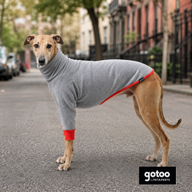 Gotoo Sudadera Gris para galgos