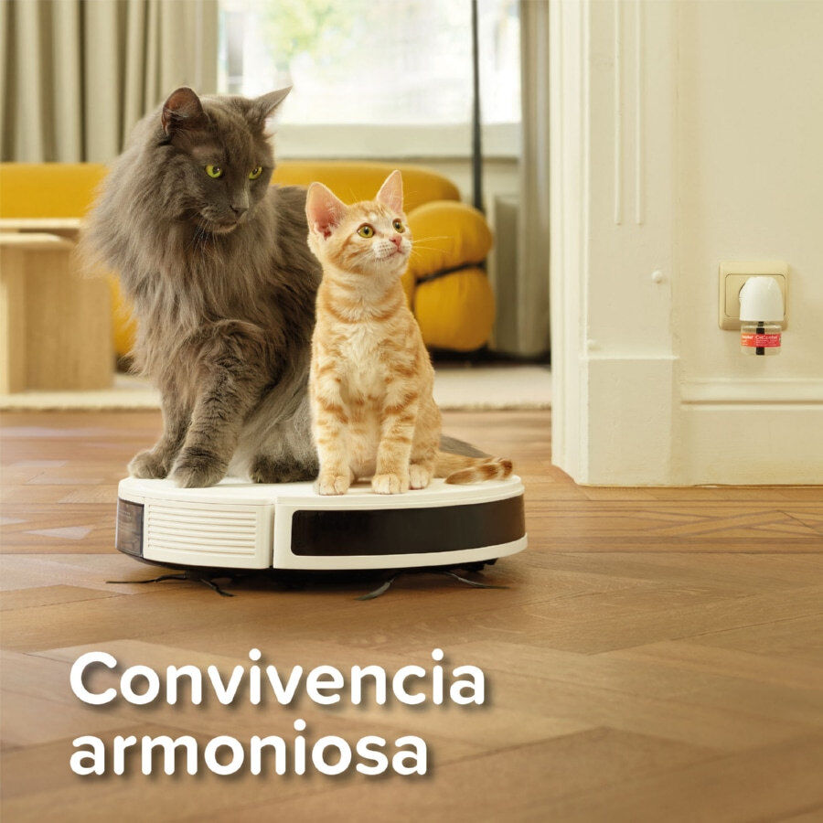 Beaphar CatComfort Excellence Difusor de Feromonas para gatos thumbnail