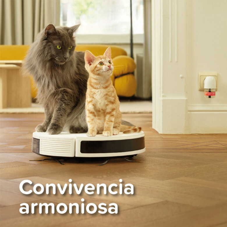 Beaphar CatComfort Excellence Difusor de Feromonas para gatos, , large image number null