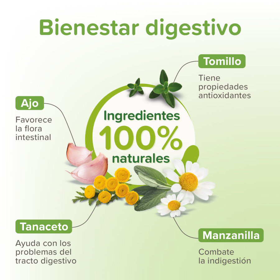 Beaphar VERMIpure Repelente Interno Natural L&iacute;quido para gatos, , large Imagen numero 3