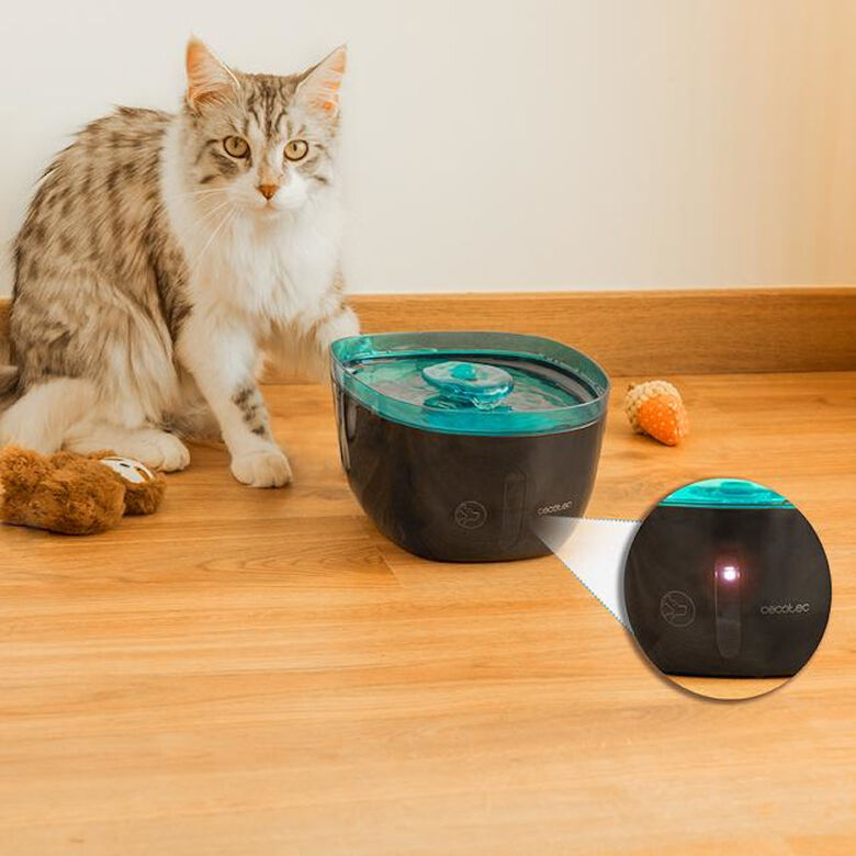 Cecotec Pumba 2200 Refresh Bebedero Automático para perros y gatos thumbnail