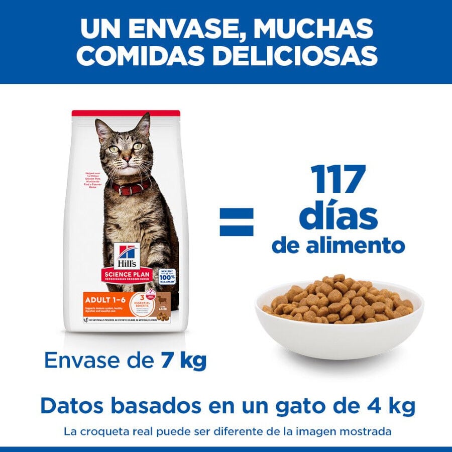 10 kg Hill's Science Plan Adult Cordero pienso para gatos, , large Imagen numero 6