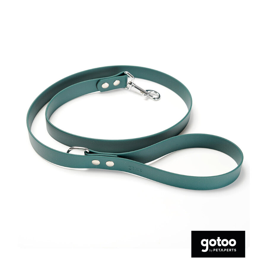 Gotoo Correa Biothane verde para perros, , large Imagen numero 2